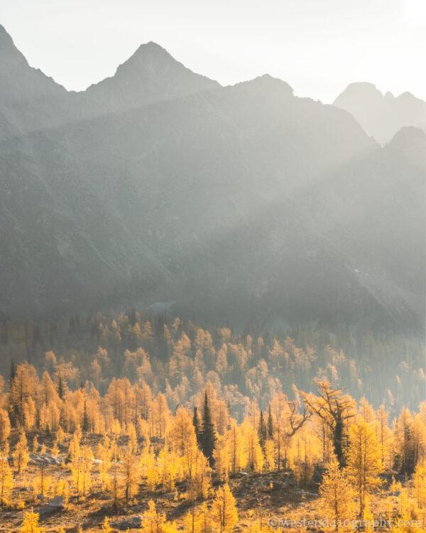 逆光で撮る紅葉風景2