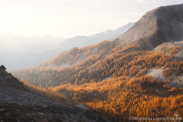 サイド光で撮る紅葉風景