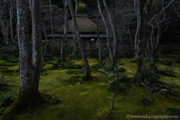 暗めの適正露出で静けさを表現した写真