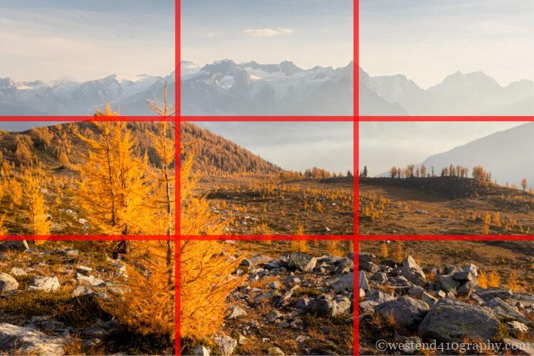 三分割構図の作例