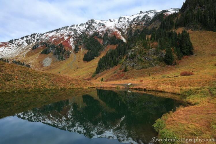 秋の草紅葉を撮影した写真1