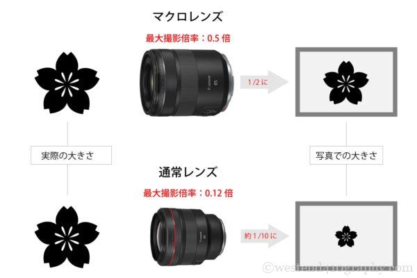 最大撮影倍率の違い