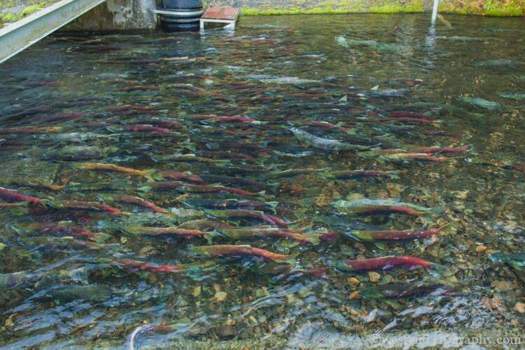 反射を除去して撮影した写真