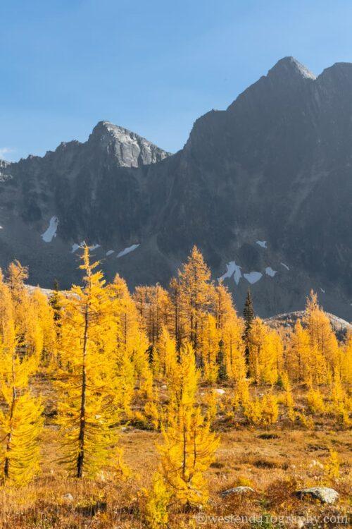 標準レンズの特徴1 広角レンズ風にも撮れる