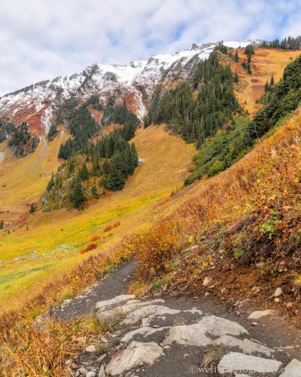 秋に山の紅葉を撮影した写真