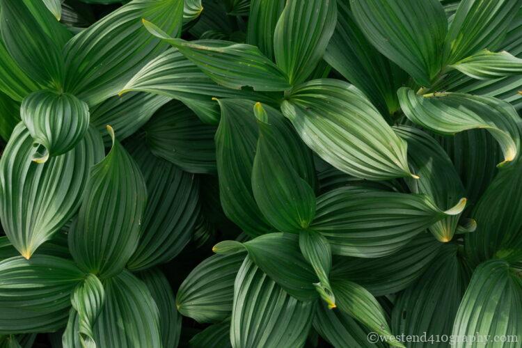 晴れの日に撮影した写真