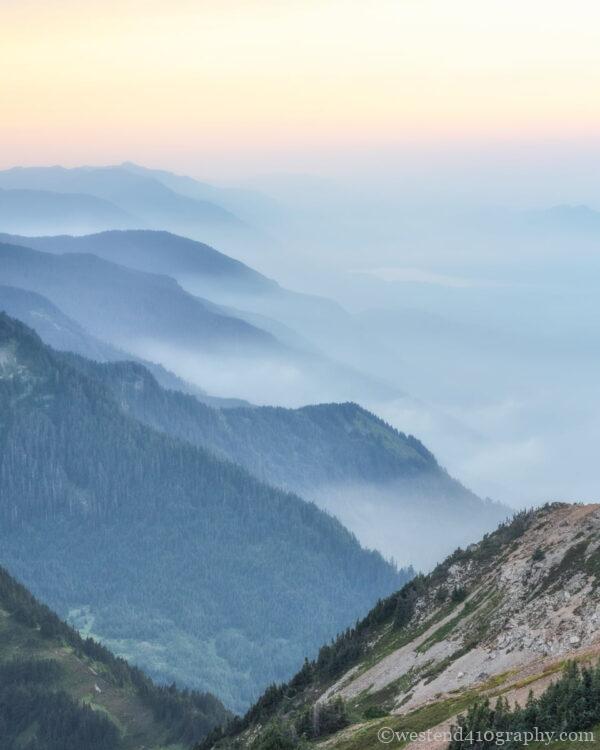 望遠レンズの特徴1 密集感を強調できる