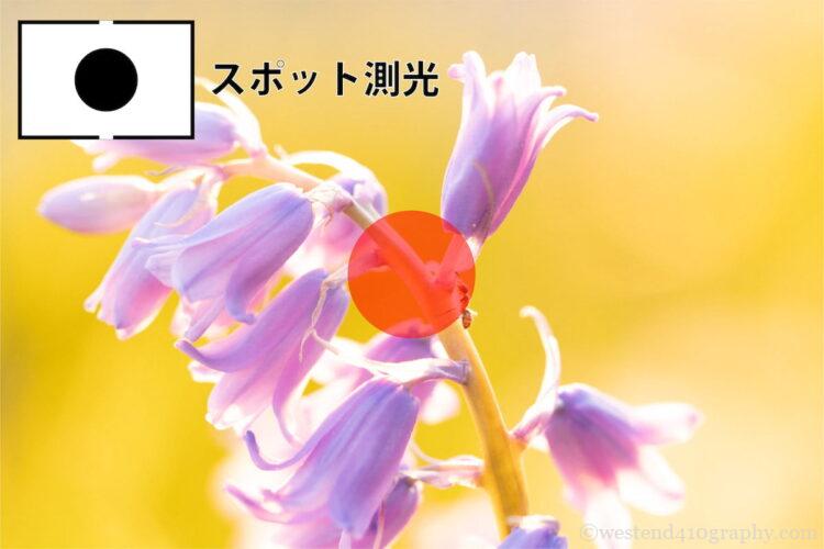 スポット測光のイメージ