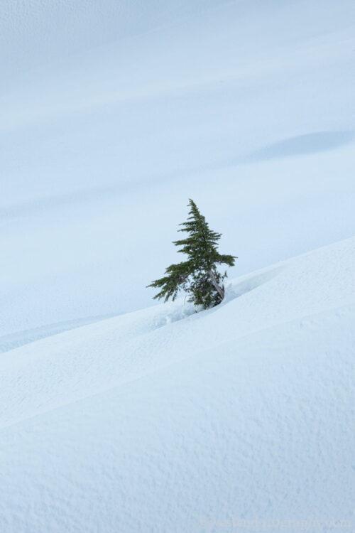 望遠レンズでの切り取り1