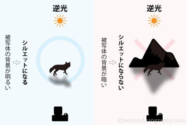 背景の明るさで変わるシルエット写真の比較