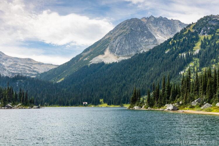 近くの景色のみ