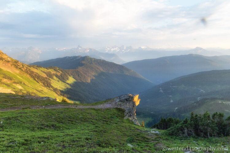 虫が写り込んだ写真