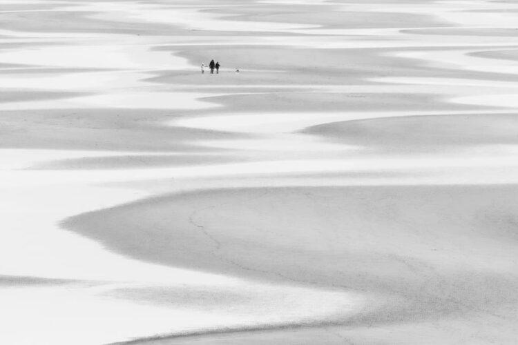 特徴的なパターンの写真2