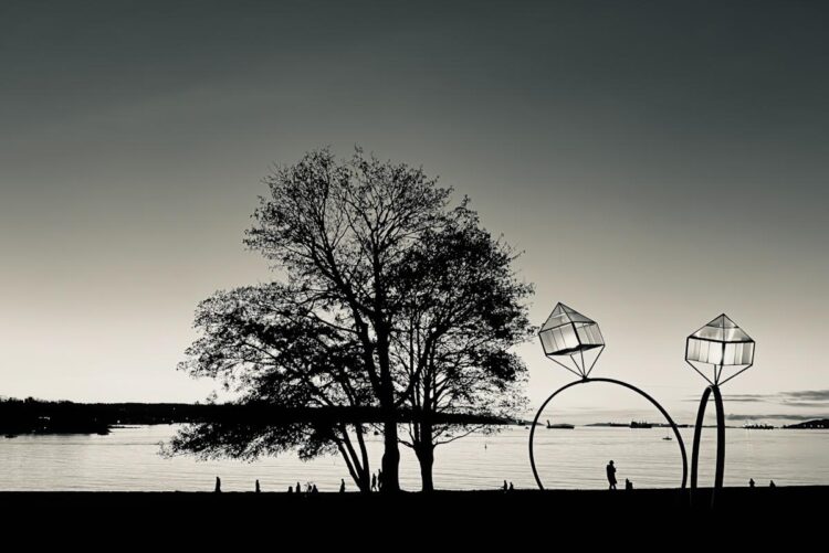 形が特徴的なモノクロ写真1