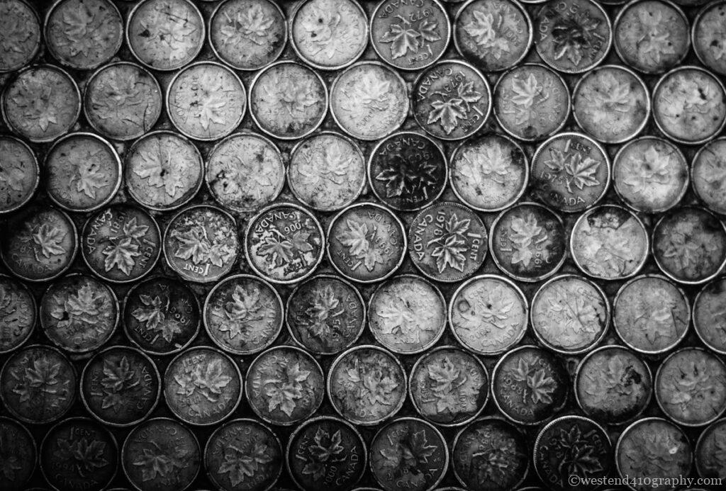 特徴的なパターンの写真1