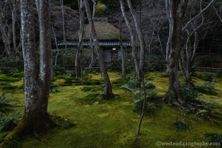 横構図で左右への広がりを表現した写真2