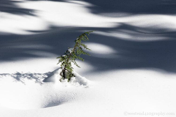 雪の上の影を撮る雪景色1