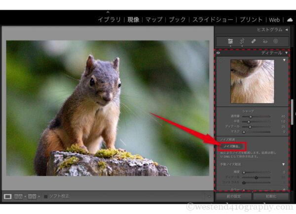 AIノイズ除去の使用方法画像2