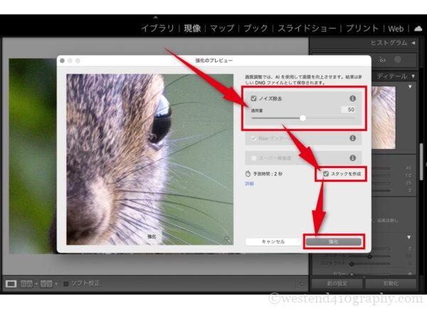 AIノイズ除去の使用方法画像3