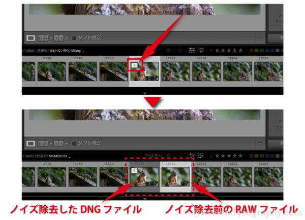 AIノイズ除去の使用方法画像5