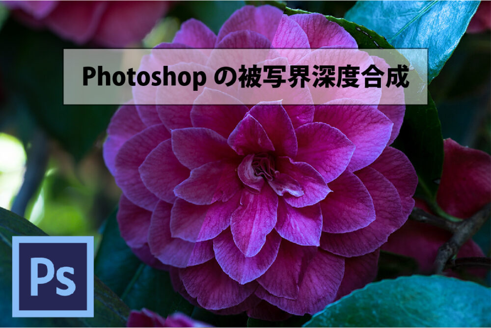 Photoshopの被写界深度合成を使えばマクロレンズでも全体にピントの合った写真が作れる Westend Photograph