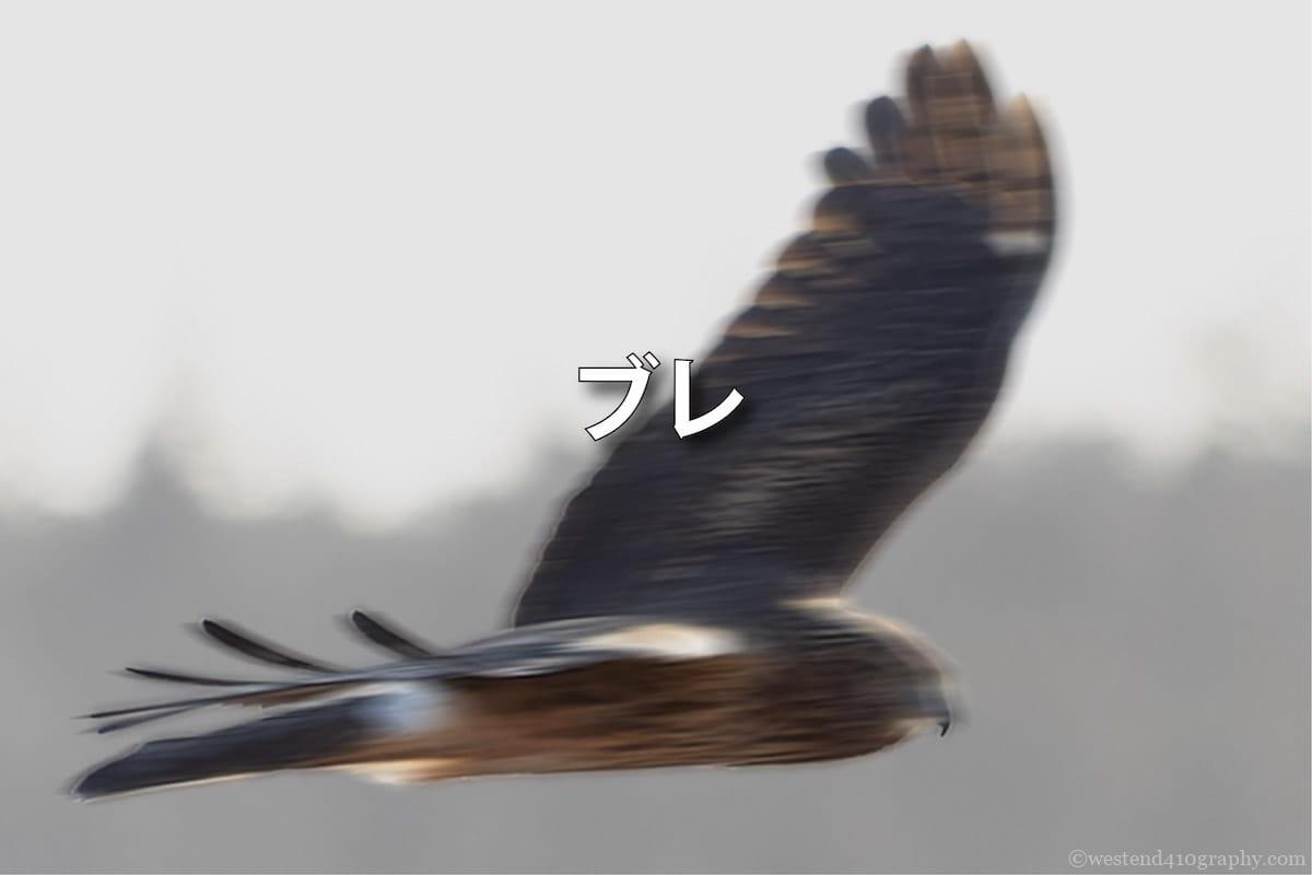 ブレの種類と対策方法 サムネイル