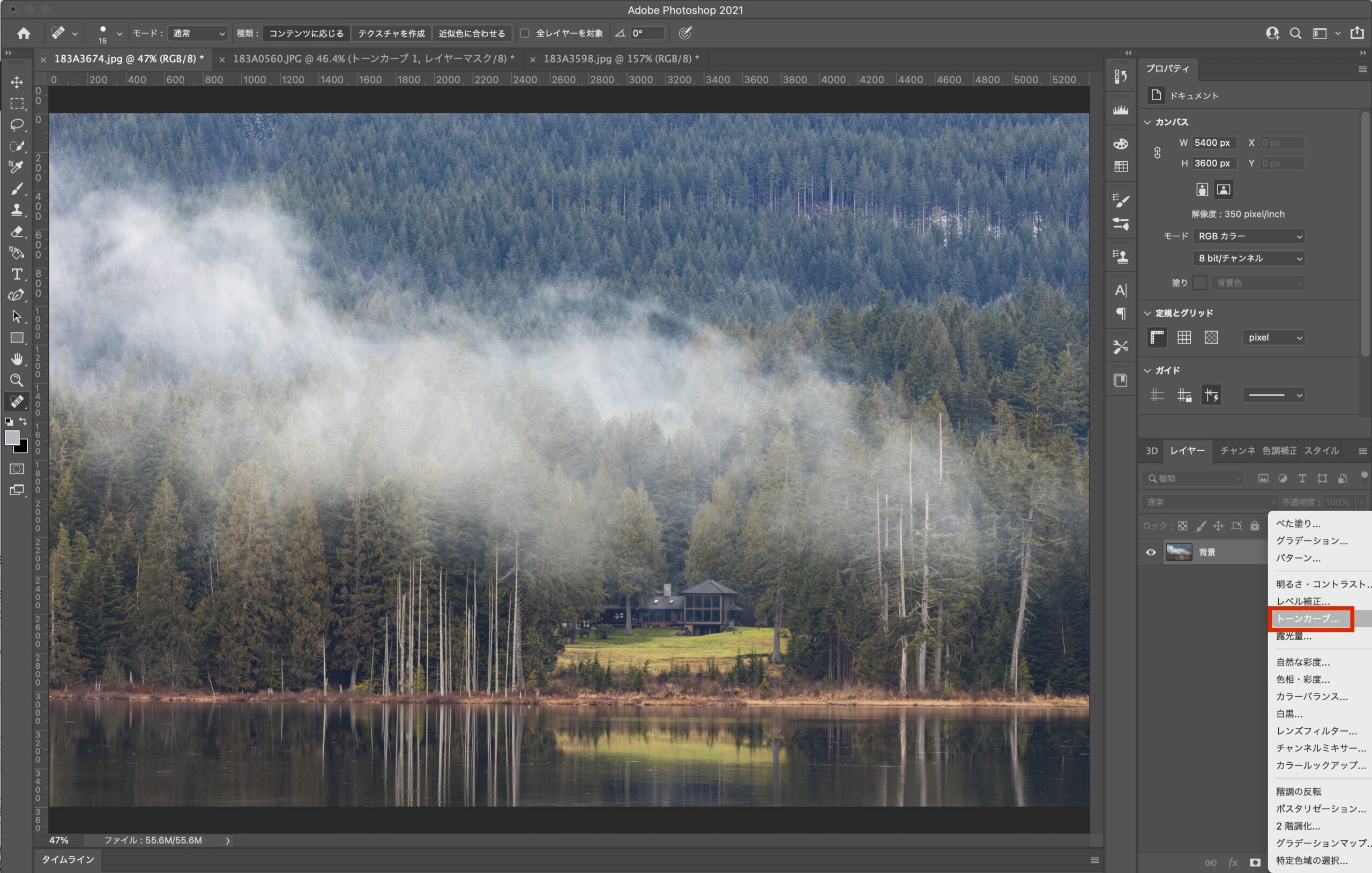 Photoshop 簡単 トーンカーブを使った色かぶり補正で写真に透明感が生まれる Westend Photograph