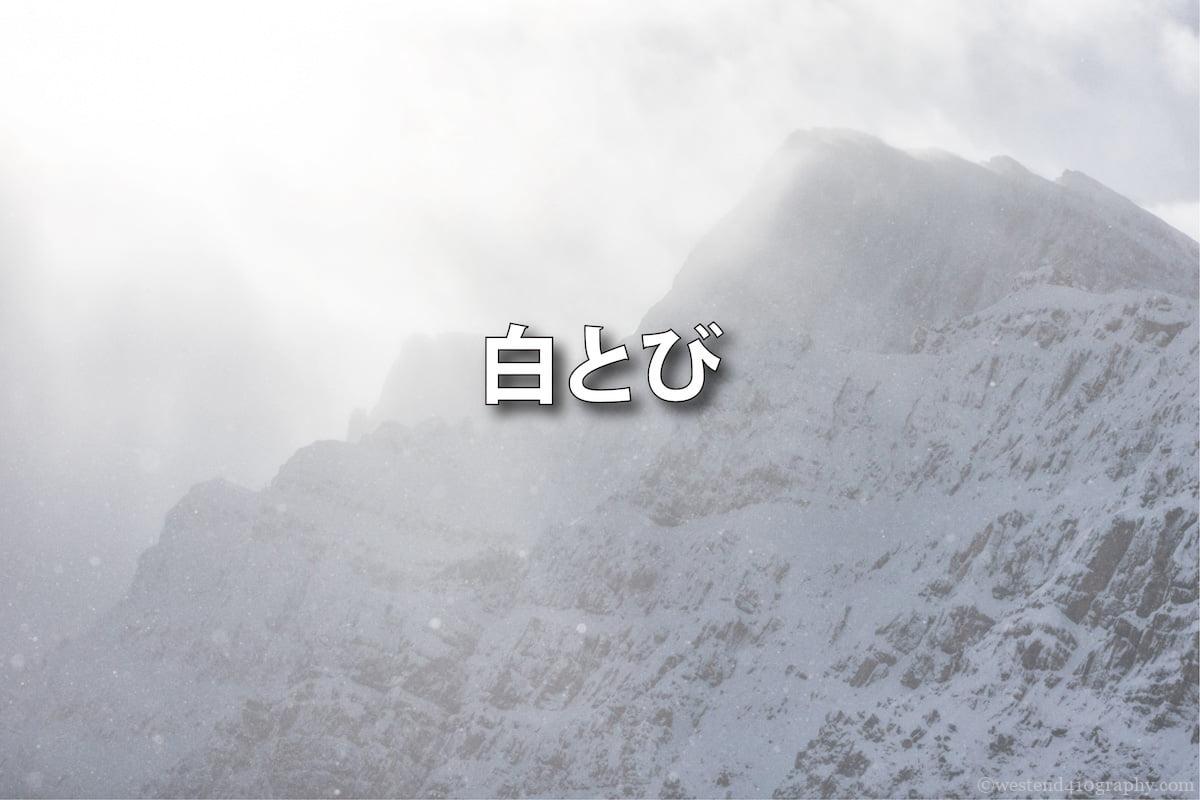 白とびの原因と対策 サムネイル