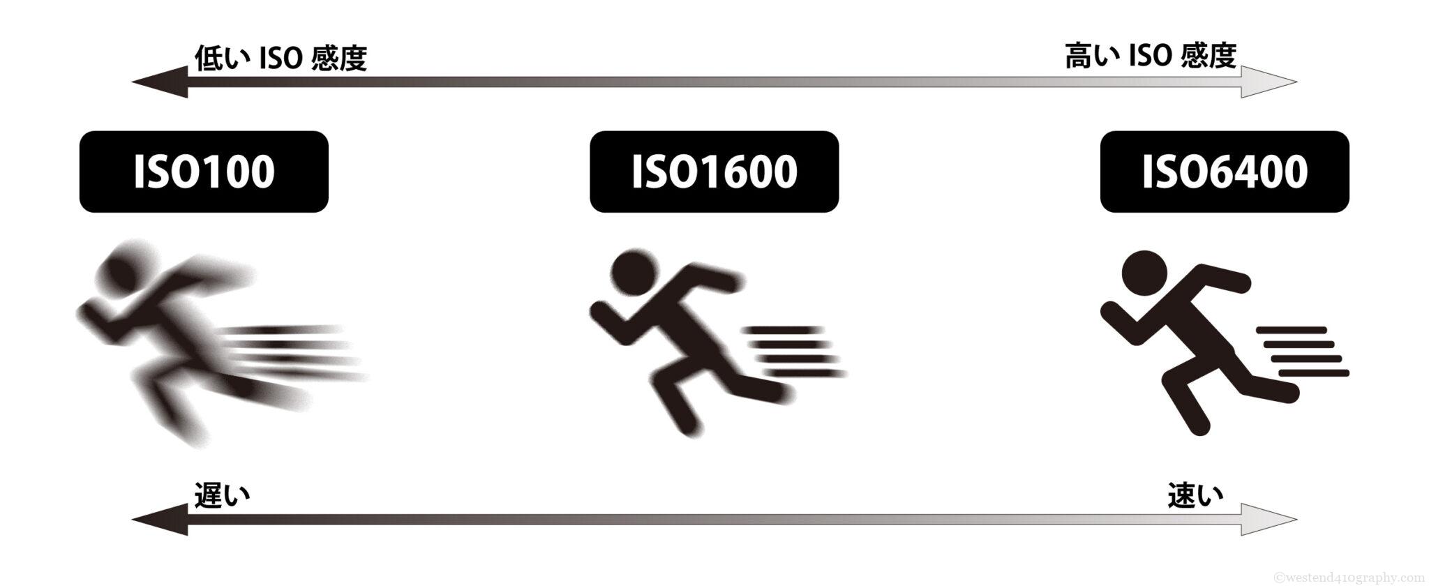 カメラのISO感度とは?初心者が覚えておくべき基礎をわかりやすく解説 ~その3~ | フォトとも