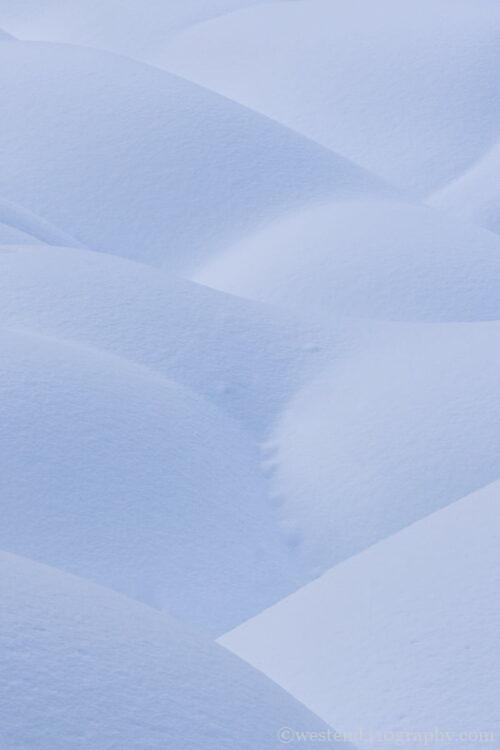 ミニマルに撮った雪景色２