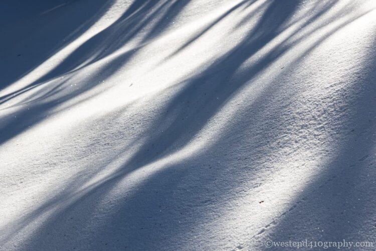 雪の上の影を撮った雪景色２