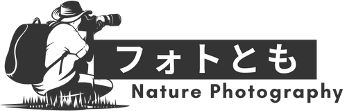 フォトとも