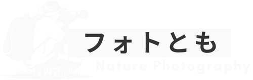 フォトとも