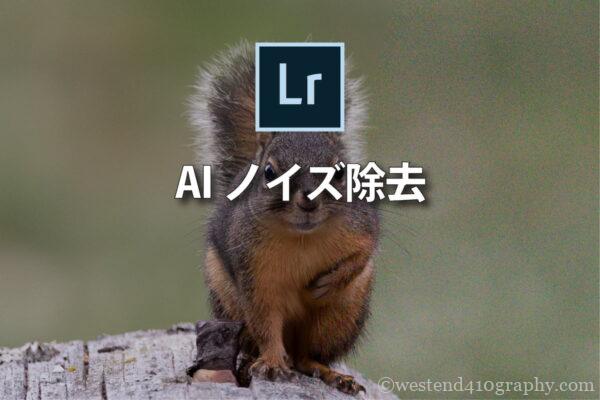 Lightroom AIノイズ除去 サムネイル