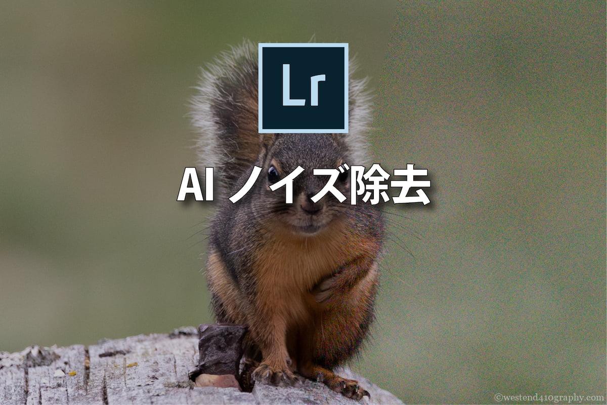 Lightroom AIノイズ除去　サムネイル